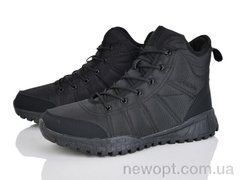 Pryama Vigoda 4242-A9013-1, 8, 41-46