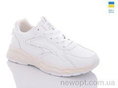 Swin 10202-1, 8, 41-46