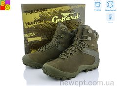 BG Bravo, 8, 41-45,