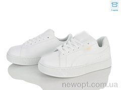 Ledicai R505-2, 8, 36-41