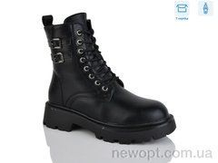 Alimama-Girnaive W162, 8, 36-41