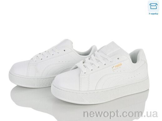 Ledicai R505-2, 8, 36-41