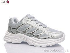 Aba XD213, 8, 36-41