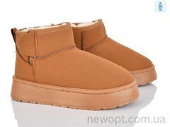 Lion-Lu CL2517, 8, 37-42