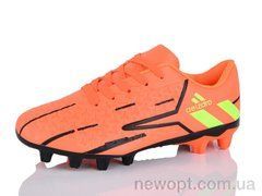 ASHIGULI C09-51, 12, 36-41