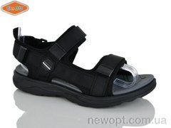 EeBb 1654-1, 8, 36-41