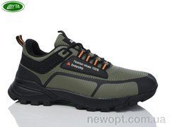 Bayota A1127-1, 8, 41-45