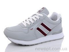 Pet B8963-11, 8, 36-41